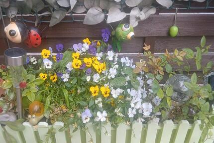 Erdgeschoss Wohnung mit Garten und eigener Garage zimmer