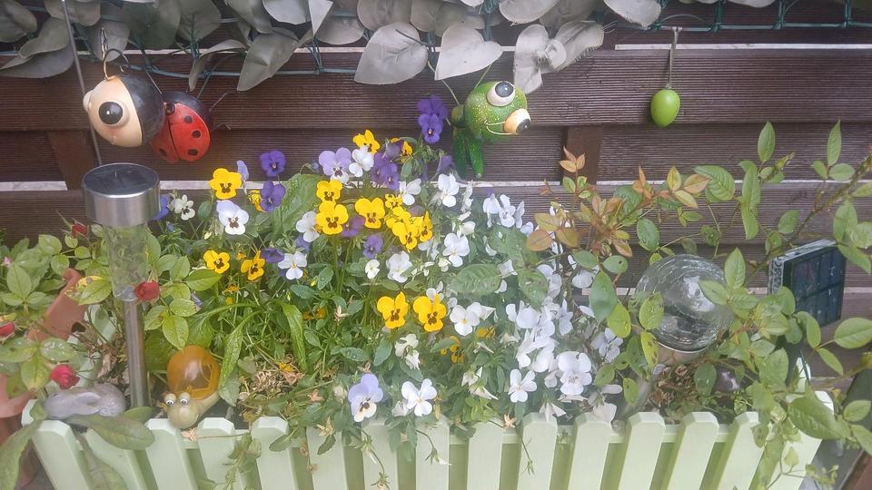 Erdgeschoss Wohnung mit Garten und eigener Garage zimmer
