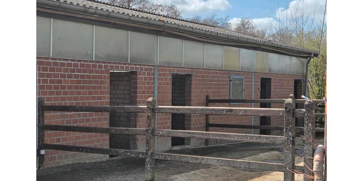 Ferienimmobilie Bottrop Feldhausen - 60&euro; | Angebot:26550019