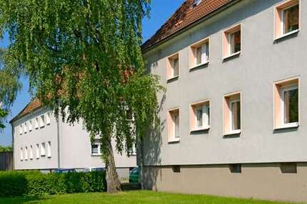 Wohnung zum Mieten in Gelsenkirchen 289 € 35 m²