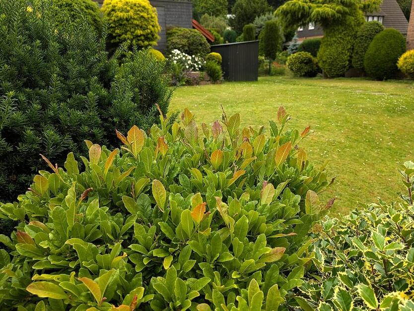 85m² Wohnung - Dortmunder Bestlage - Gartennutzung möglich