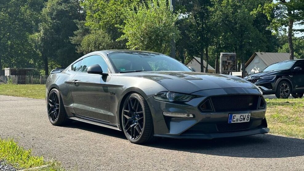 Mustang