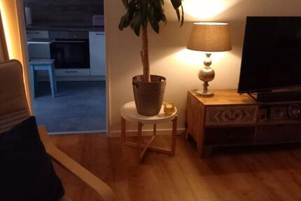 1,5 Raum Wohnung mit Balkon 1 zimmer