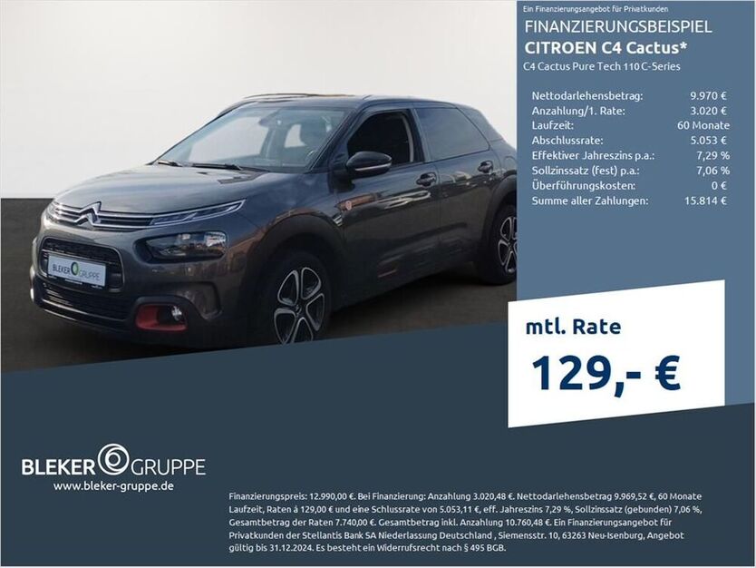 C4 Cactus