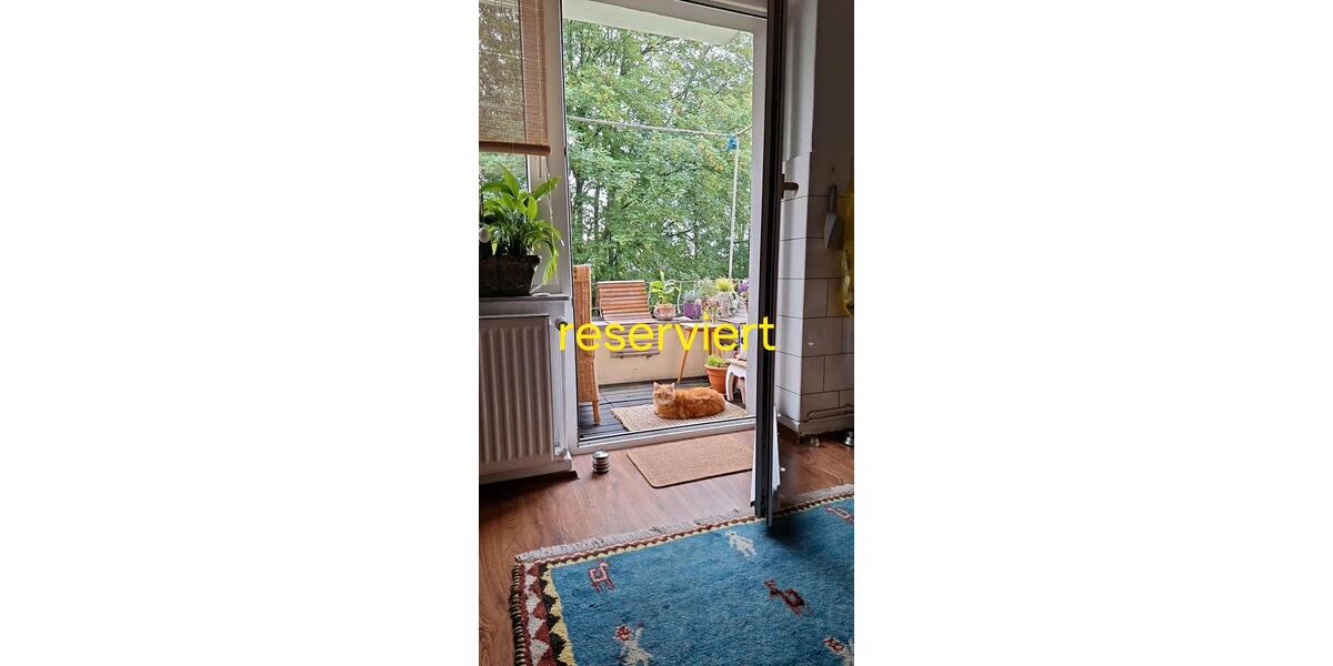 Etagenwohnung Bochum Wiemelhausen - 2 Zimmer, 65 m&sup2;, 567&euro; | Angebot:24841549