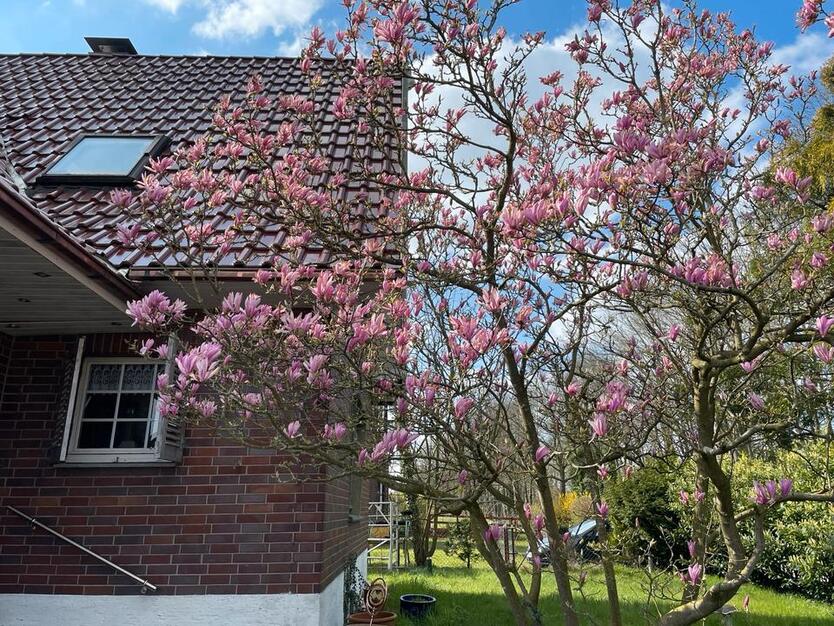 Freistehendes EFH in toller Lage (direkt am Kanal) zimmer