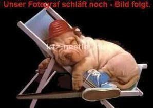 VW Tiguan 21.900 km 50.900 &euro; Essen 45134