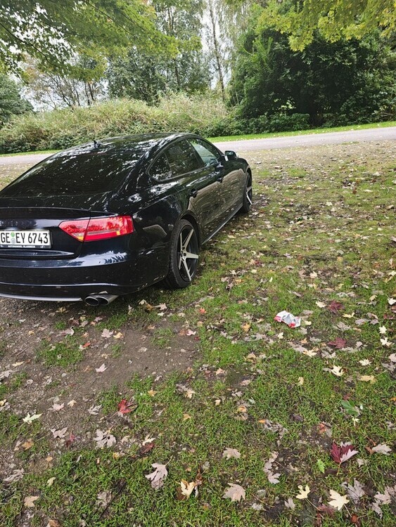 Audi S5 176.000 km 13.555 € Gelsenkirchen 45879