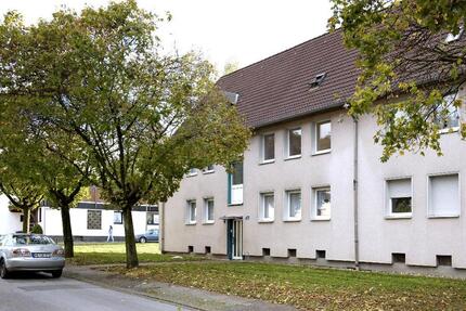 Wohnung Gelsenkirchen Ückendorf - 2.5 Zimmer, 40 m&sup2;, 299&euro; | Angebot:26232615