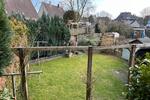 Doppelhaushälfte Marl Alt-Marl - 3 Zimmer, 70 m&sup2;, 225.000&euro; | Angebot:26176897