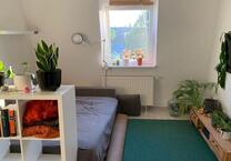 Super helle Dachgeschoßwohnung Saarlandstraßenviertel