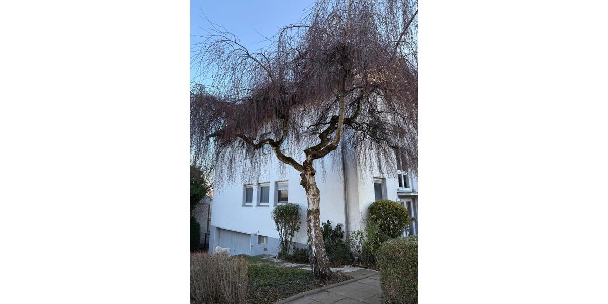 Provisionsfrei großzügige Eigentumswohnung 1.StockDG 6 zimmer