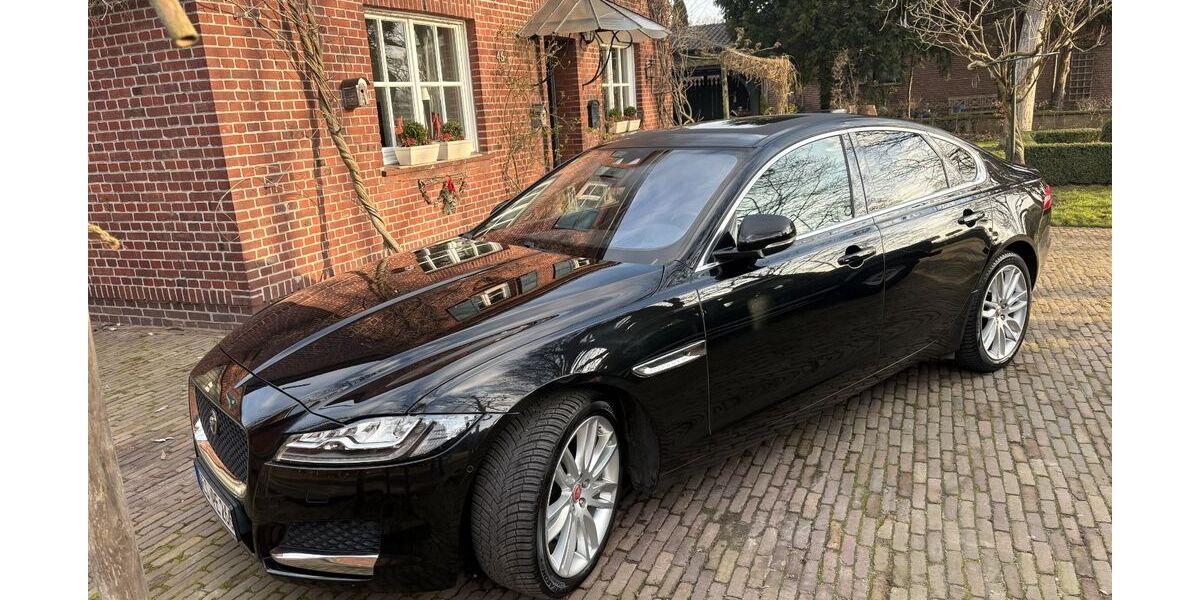 Jaguar XF 248.000 km 13.300 &euro; Schermbeck 46514