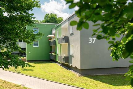 Wohnung Dortmund Huckarde - 2.5 Zimmer, 46 m&sup2;, 450&euro; | Angebot:26359203