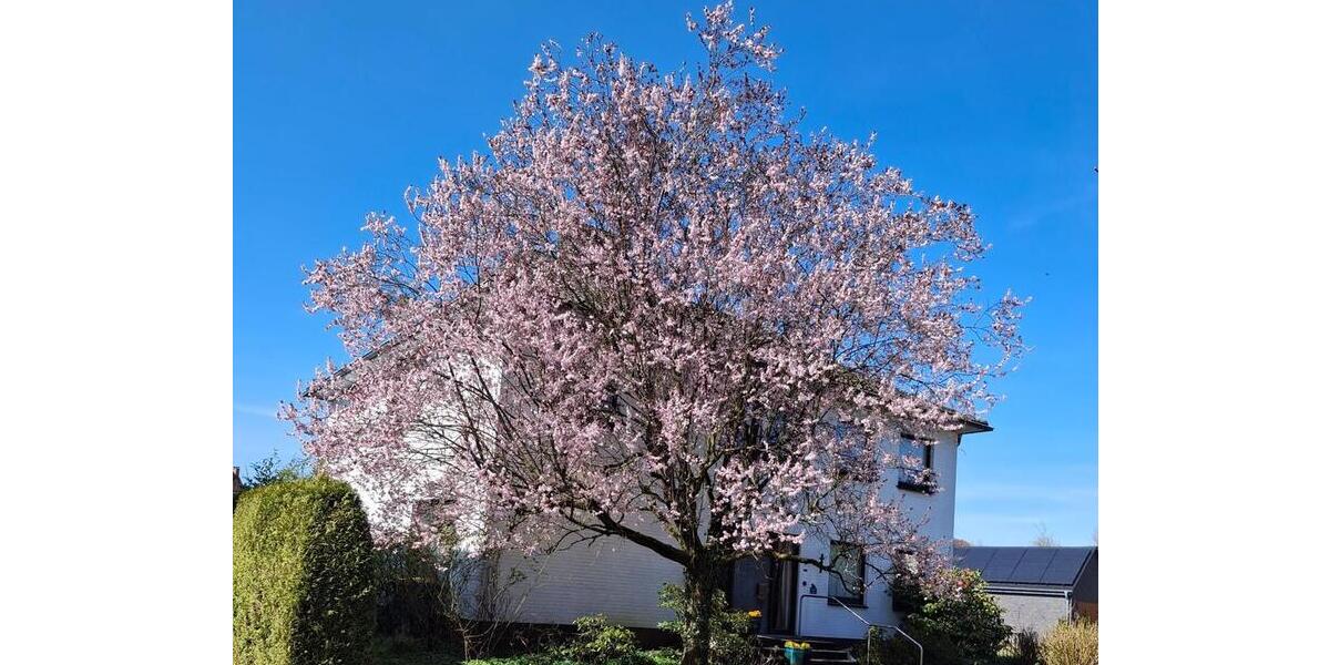 Stadtvilla in Dülmen Zentrumsnah 5 zimmer