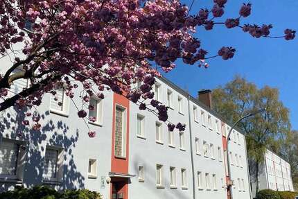 Wohnung Dortmund Hörde - 2 Zimmer, 44 m&sup2;, 450&euro; | Angebot:27108837