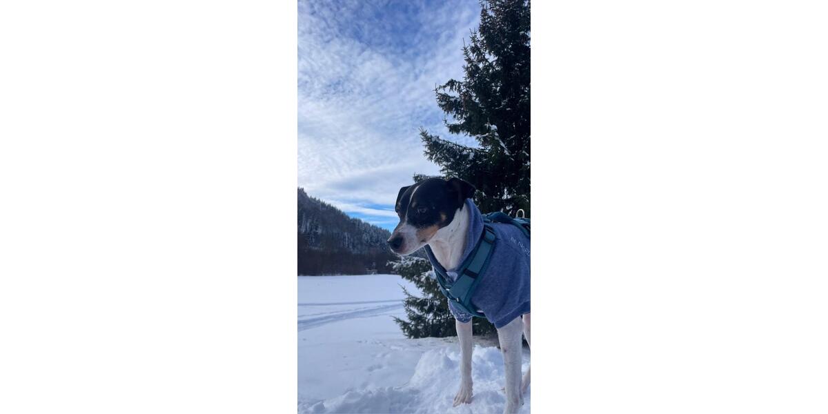 Ferienimmobilie Marl - 290&euro; | Angebot:24433739