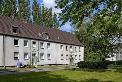 Wohnung zum Mieten in Gelsenkirchen 399 € 48.35 m² 2.5 zimmer