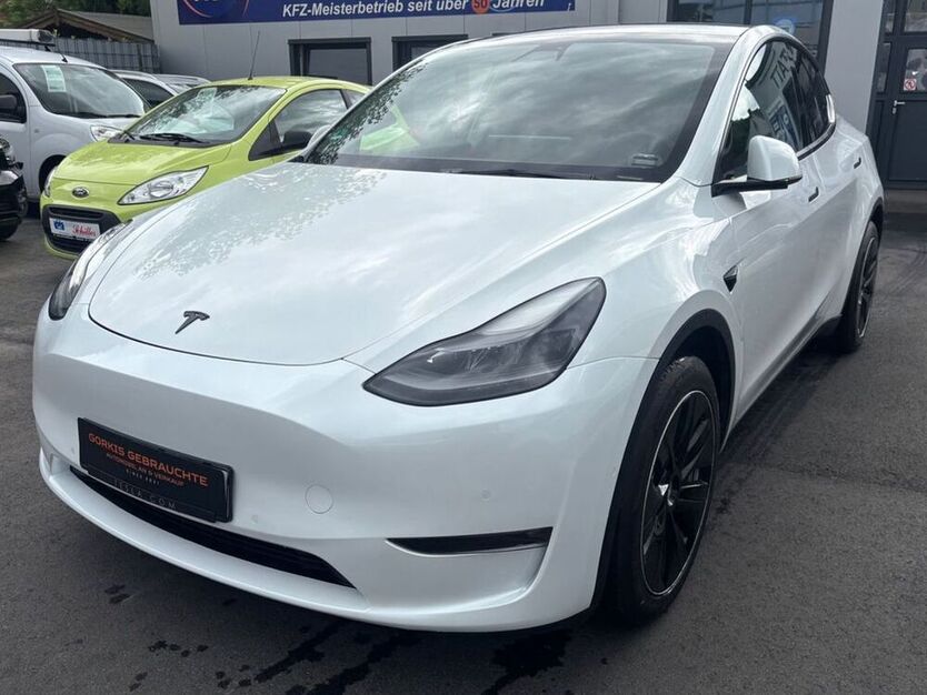 Model Y