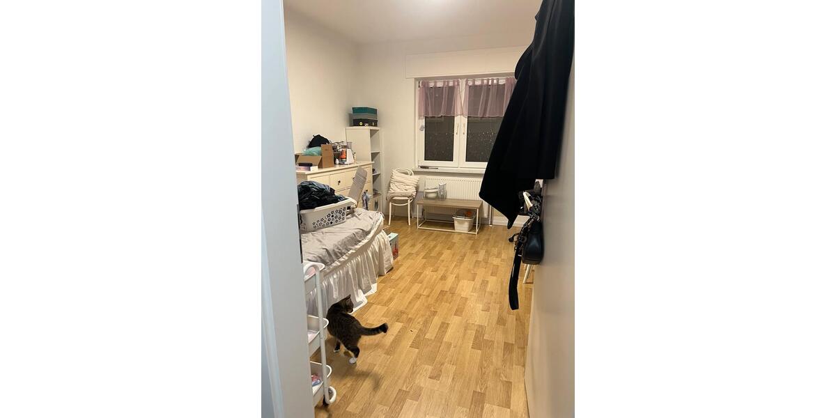 Erdgeschoßwohnung Essen Stadtbezirk VII - 4 Zimmer, 64 m&sup2;, 370&euro; | Angebot:26361256