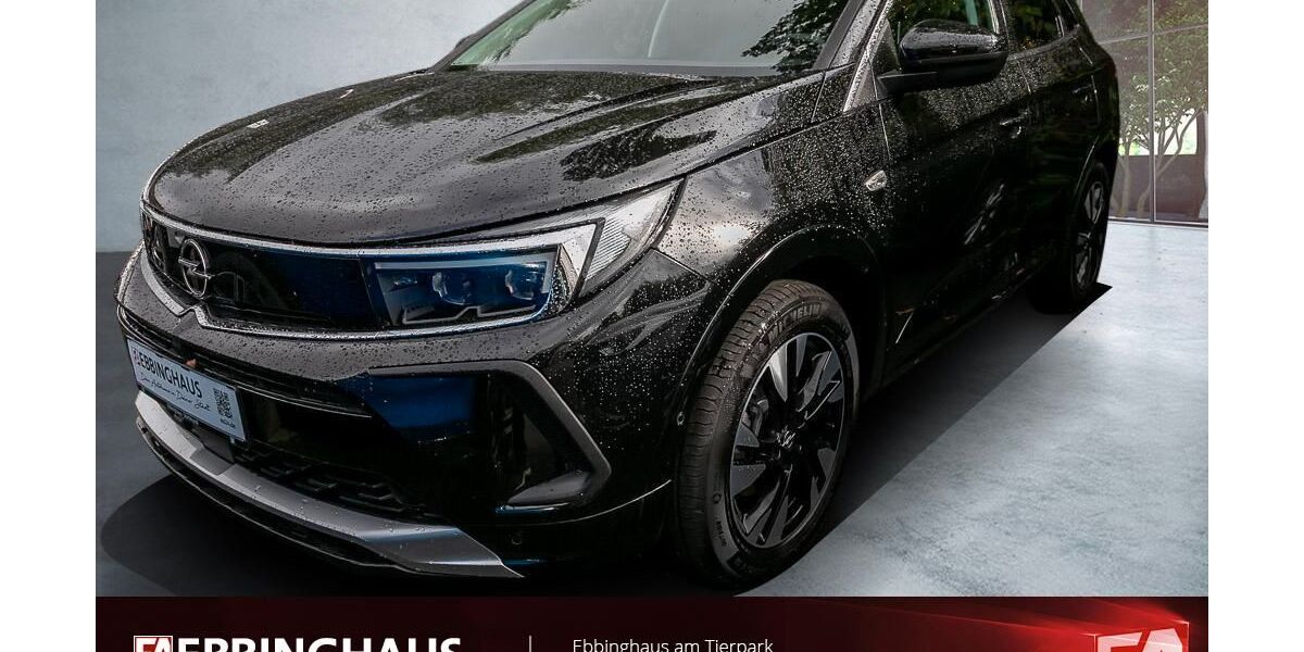 Opel Grandland (X) 45.419 km 22.499 &euro; Dortmund 44225