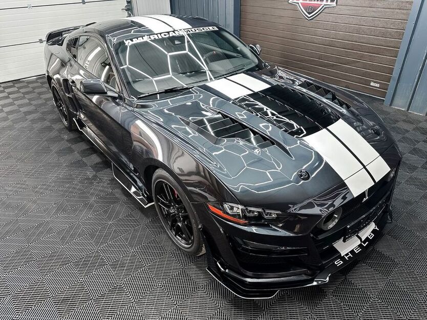 Mustang