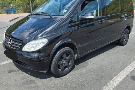 Mercedes Viano