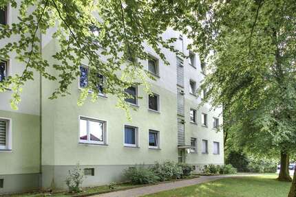 Wohnung Essen Stadtbezirk IX - 3 Zimmer, 74 m&sup2;, 639&euro; | Angebot:26978200