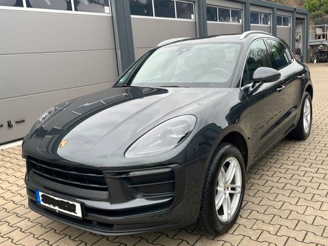 Macan