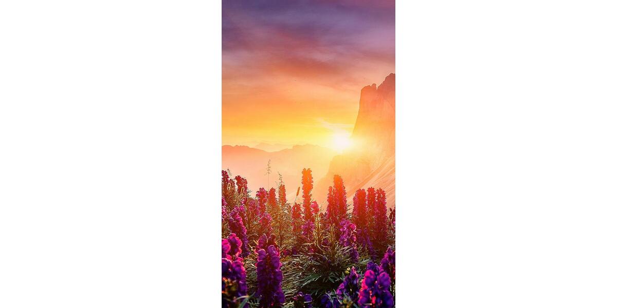 Etagenwohnung Haltern am See - 1 Zimmer, 38 m&sup2;, 290&euro; | Angebot:25469980