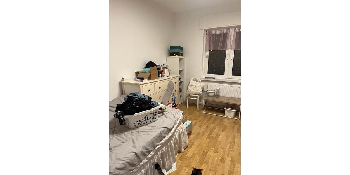 Erdgeschoßwohnung Essen Stadtbezirk VII - 4 Zimmer, 64 m&sup2;, 370&euro; | Angebot:26361256