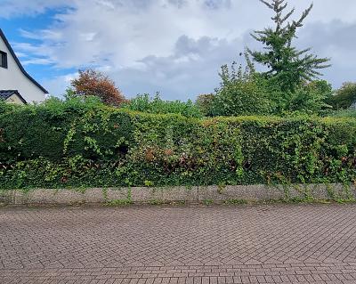 SONNENSTÜCK - UNBEBAUT - OPTIONAL DIREKT MIT HAUS - Grundstück Essen Stadtbezirk VII | Angebot:27127009