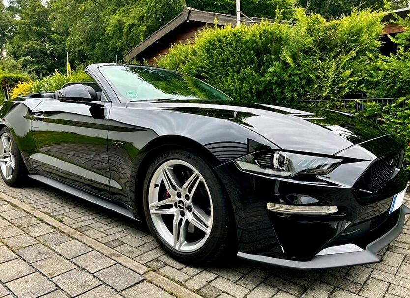 Mustang