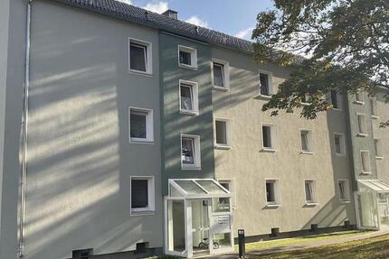 Wohnung Dortmund Huckarde - 2 Zimmer, 44 m&sup2;, 394&euro; | Angebot:26279231