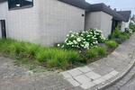 Erdgeschoßwohnung Herne Altenhöfen - 2 Zimmer, 59 m&sup2;, 700&euro; | Angebot:26122626