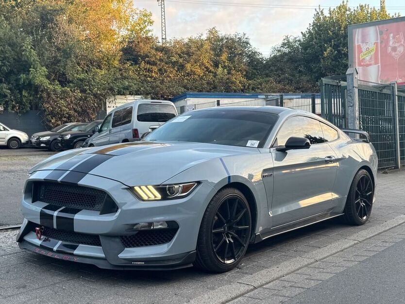 Mustang