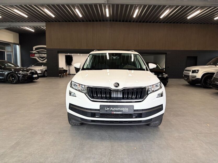 Skoda Kodiaq 176.289 km 19.990 € Lüdinghausen 59348