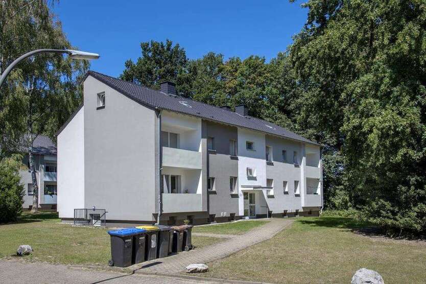 Wohnung zum Mieten in Castrop-Rauxel 309 € 40 m²