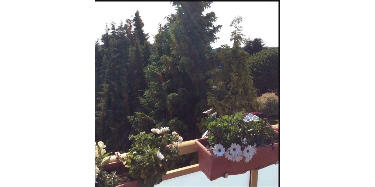 3 12 Zimmer Wohnung zimmer