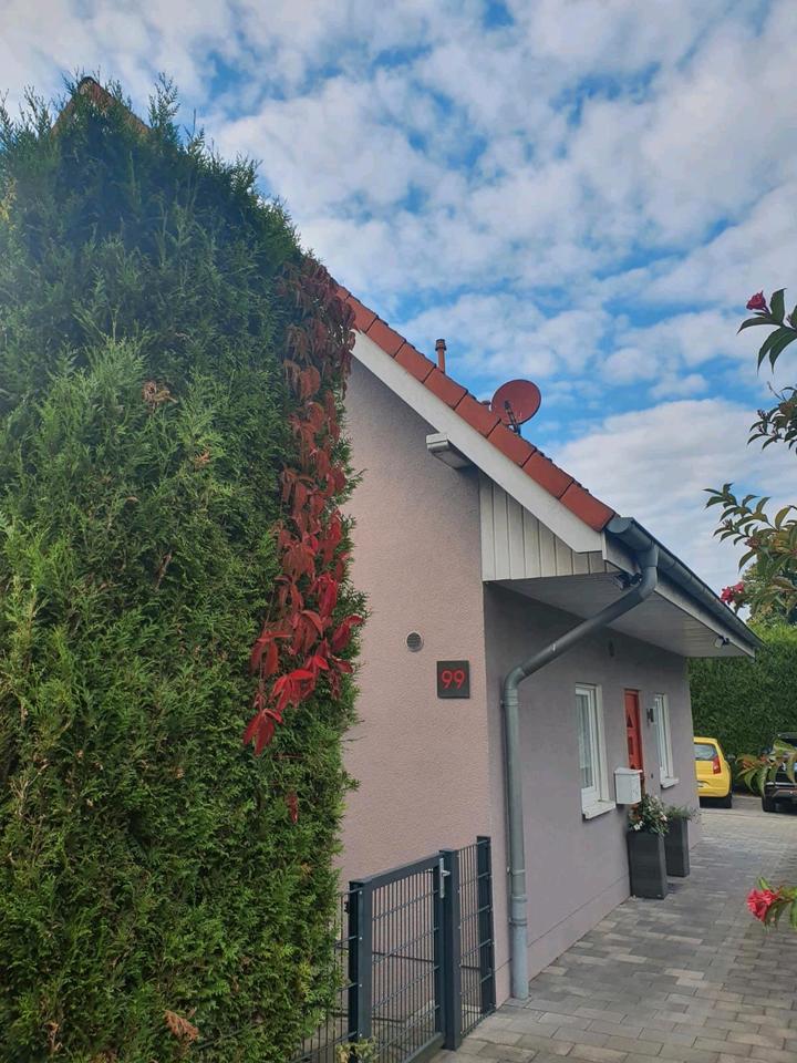 Ruhige Oase ( mit Pool ) und doch mitten im Leben !! zimmer