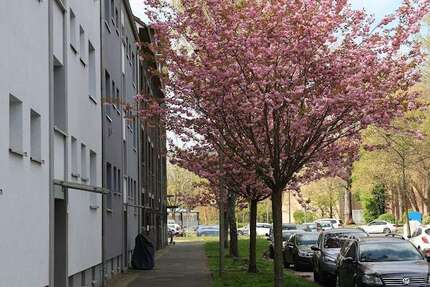 Wohnung Herne Wanne-Bickern - 2.5 Zimmer, 66 m&sup2;, 442&euro; | Angebot:27112197