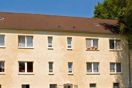 Wohnung zum Mieten in Recklinghausen 308,53 € 60 m²