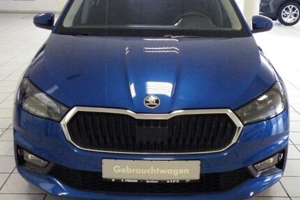 Skoda Fabia 1.500 km 18.900 € Bochum 44805