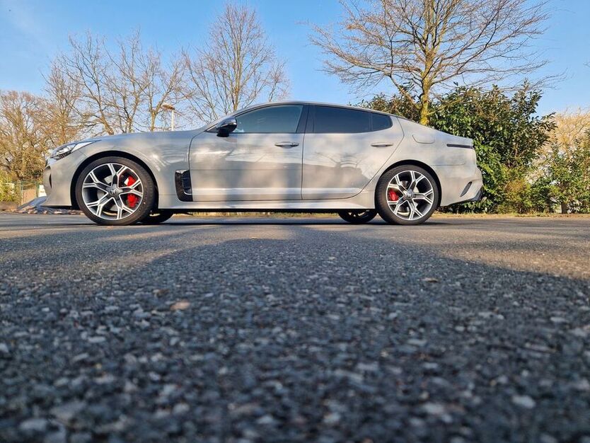 Stinger