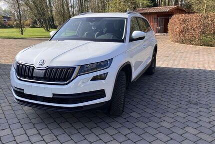 Skoda Kodiaq 167.000 km 19.999 &euro; Waltrop 45731