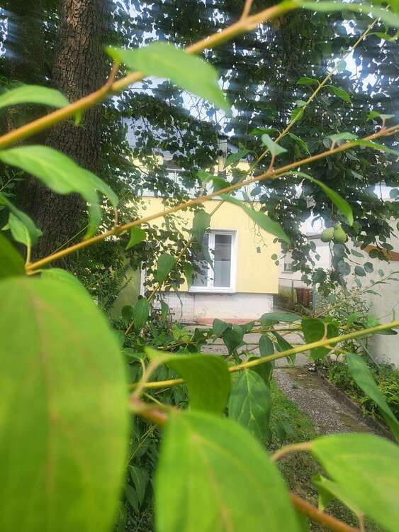 Haus zum Kaufen in Dortmund 497.000 € 190 m² 6 zimmer