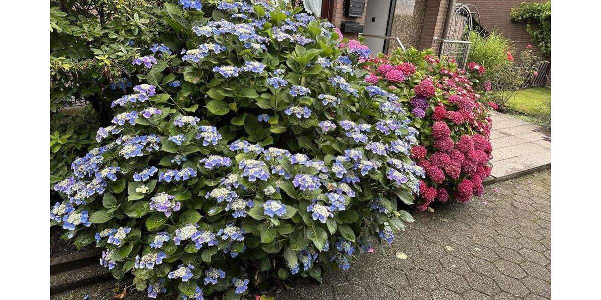 Reihenendhaus Essen Schonnebeck - 5 Zimmer, 145 m&sup2;, 419.000&euro; | Angebot:24389397