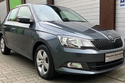 Skoda Fabia 119.800 km 7.990 € Hagen 58135