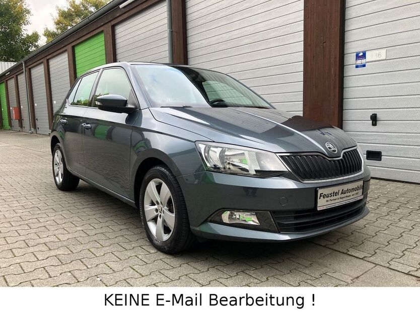 Skoda Fabia 119.800 km 7.990 € Hagen 58135