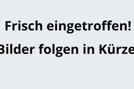 Ford Mustang Mach-E 31.267 km 33.990 &euro; Dorsten 46282